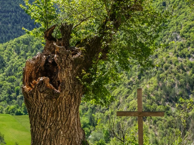 Village de Brantes dans la Vallée du Toulourenc