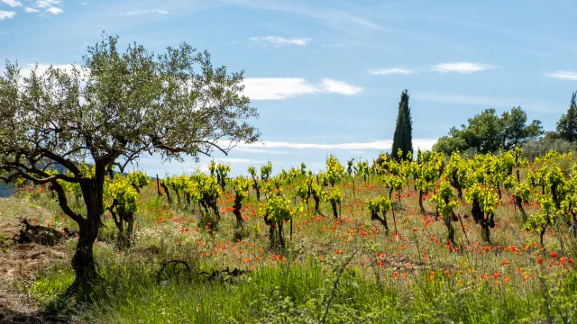 2021 05 20 Villedieu