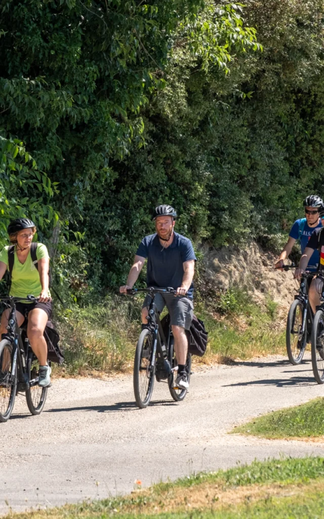 Personnes faisant du vélo de route