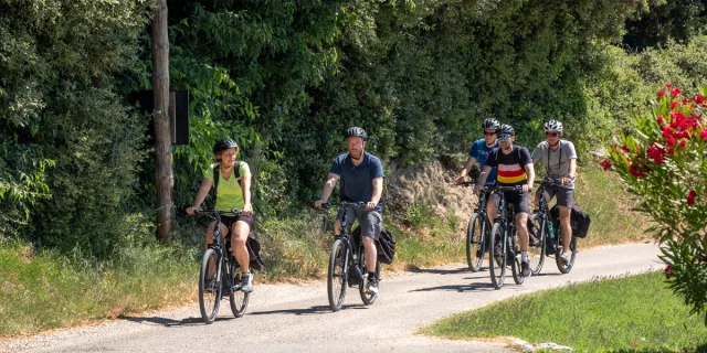 Personnes faisant du vélo de route