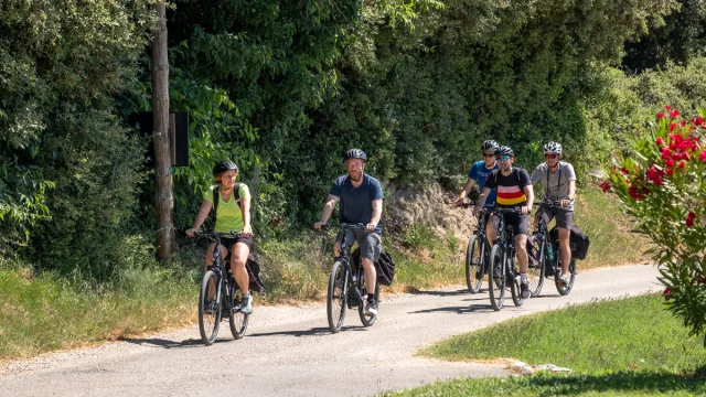 Personnes faisant du vélo de route