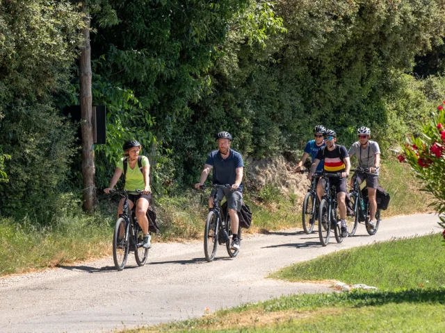 Personnes faisant du vélo de route