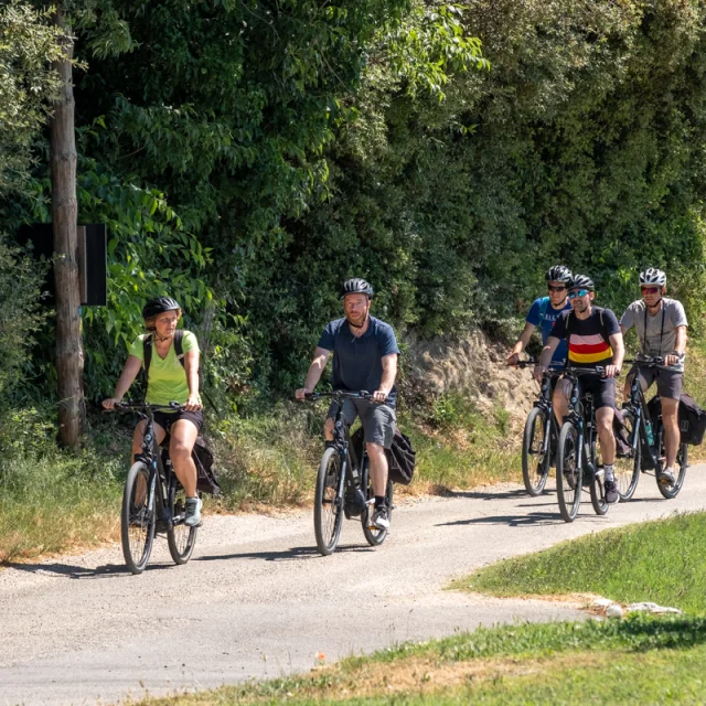 Personen, die Rennrad fahren