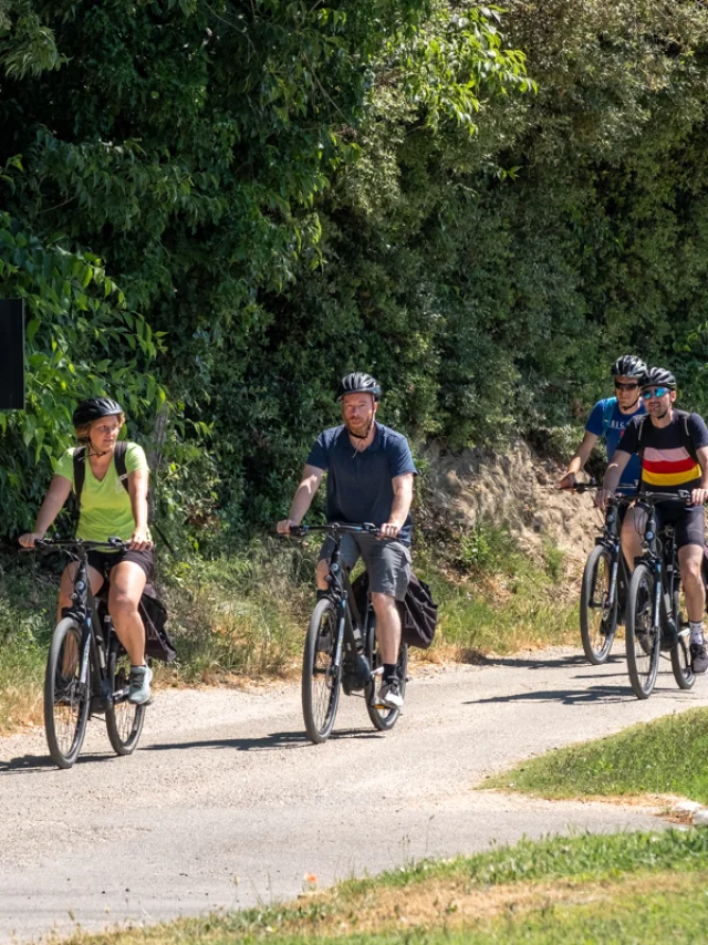 Road cyclists