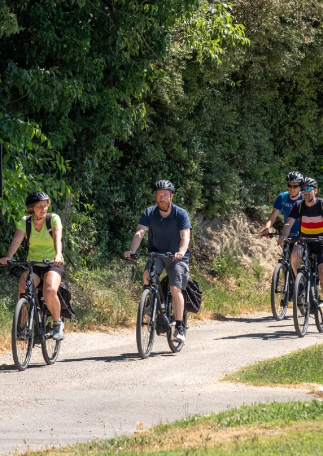 Personnes faisant du vélo de route