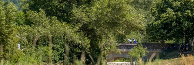 Champs de lavande et cyclistes sur un pont