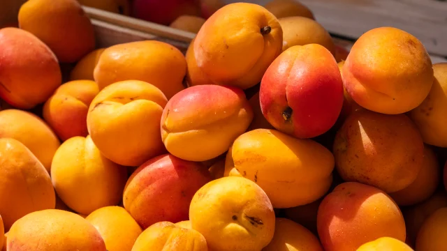 Marche Vaison La Romaine - abricots