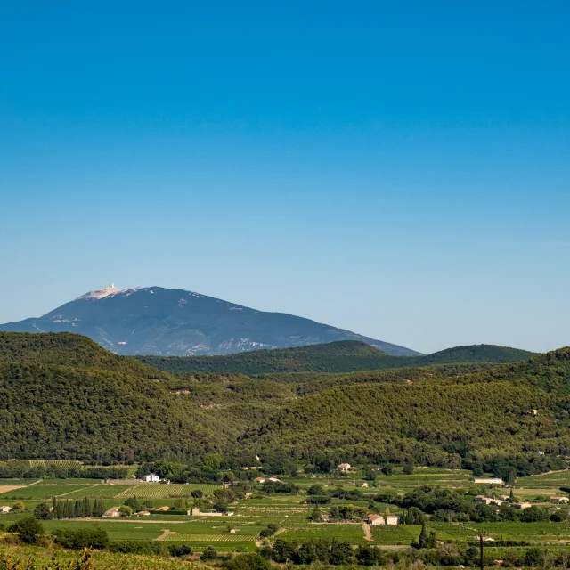 Ventoux From Rasteau