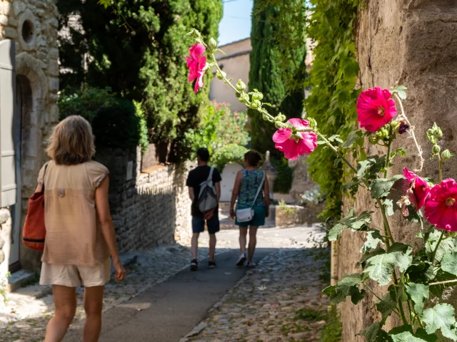 Mittelalterliche Stadt Vaison-la-Romaine