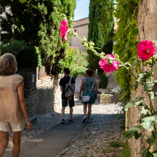 Cité médiévale de Vaison-la-Romaine