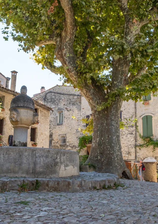 Cité Médiévale de Vaison-la-Romaine