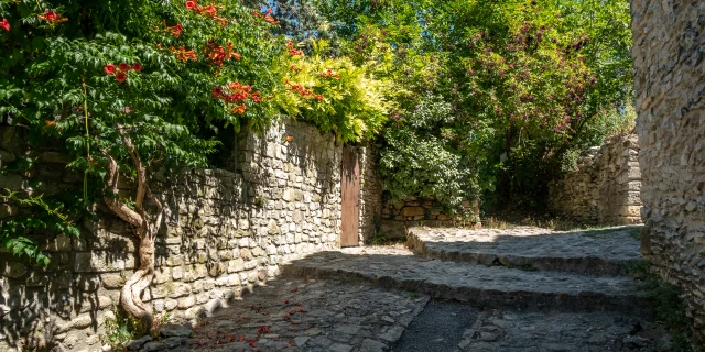 Vaison-la-Romaine Haute Ville