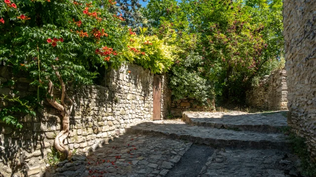 Vaison-la-Romaine Haute Ville