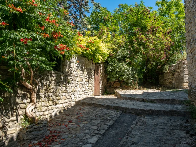 Vaison-la-Romaine Haute Ville