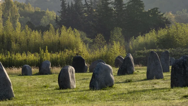 Le jardin des 9 Damoiselles