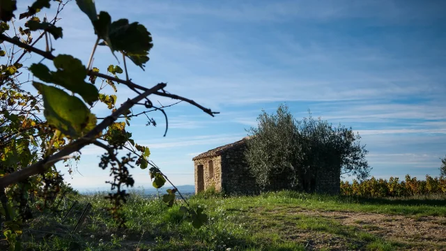 Petit cabanon dans le village de Buisson en Automne