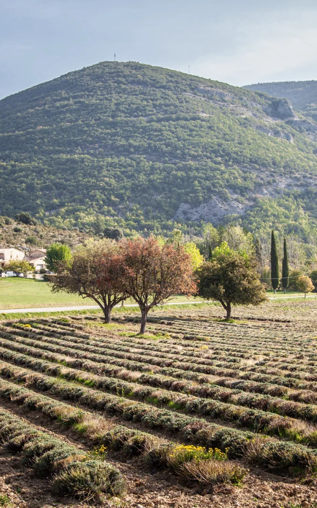 Village de St Leger en Automne