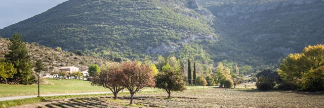 Village of St Leger in Autumn