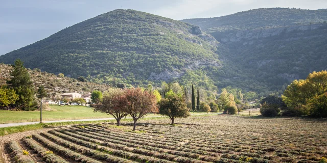 Village de St Leger en Automne