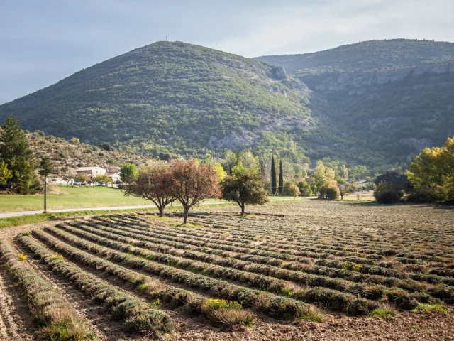 Village de St Leger en Automne