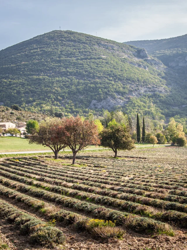 Village de St Leger en Automne