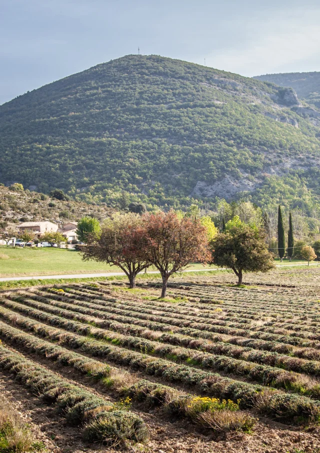 Village de St Leger en Automne