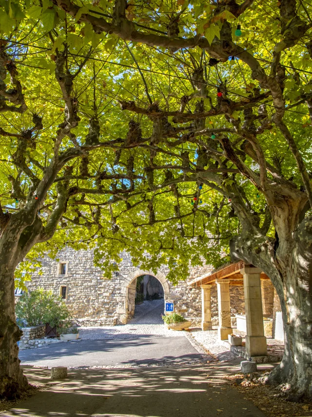 Village de Séguret en Automne