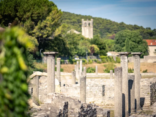 Vue sur les colonnes en ruines du Site Antique de la Villasse à Vaison-la-Romaine.