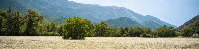 2023 06 16 Dv Ventoux Toulourenc 13