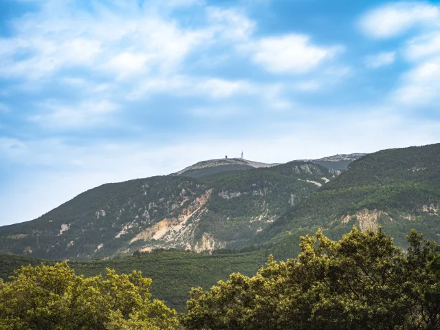 Vue sur le versant nord du Mont Ventoux