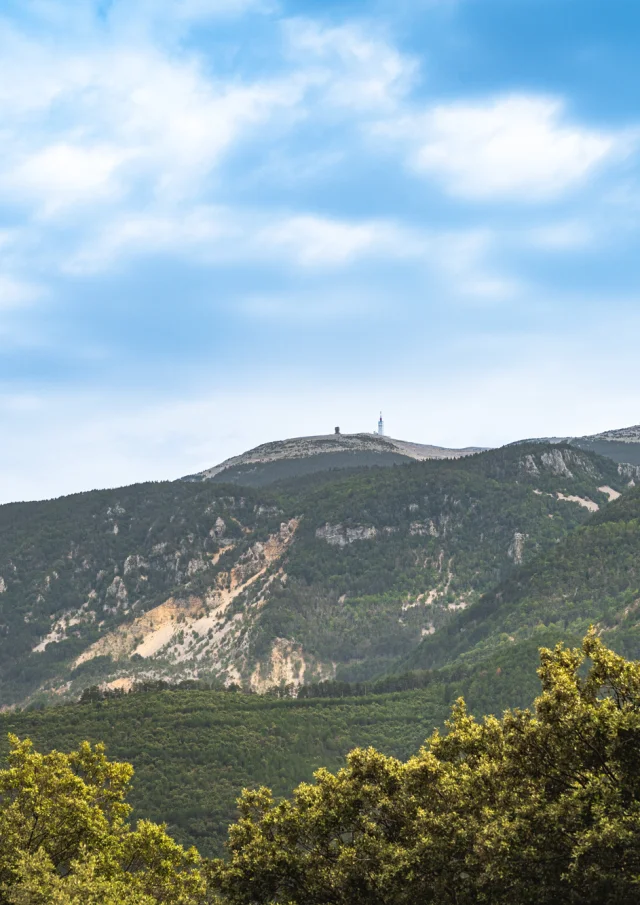 Uitzicht op de noordkant van de Mont Ventoux