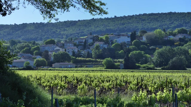 Vue d'ensemble de Saint-Roman-de-Malegarde au printemps