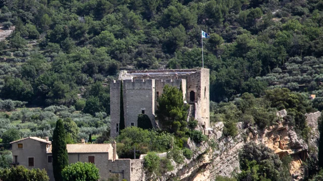 Le château de Mollans-sur-Ouvèze au printemps