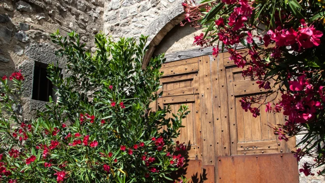 Porte du village de Saint-Léger-du-Ventoux avec des lauriers en fleurs