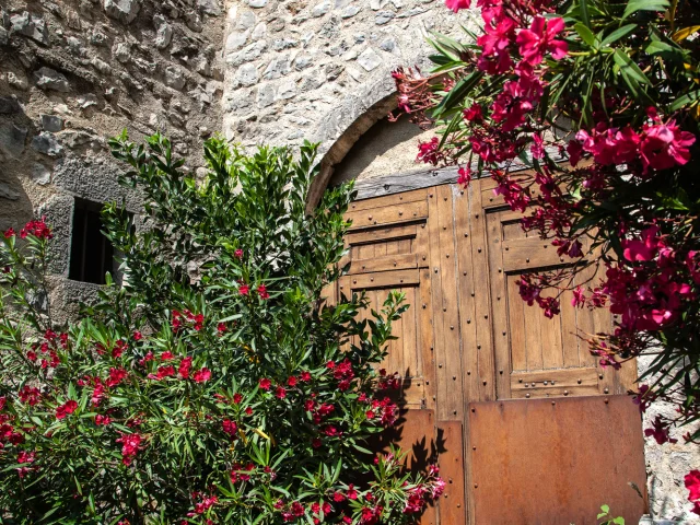 Porte du village de Saint-Léger-du-Ventoux avec des lauriers en fleurs