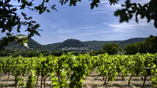 Village de Séguret au Printemps