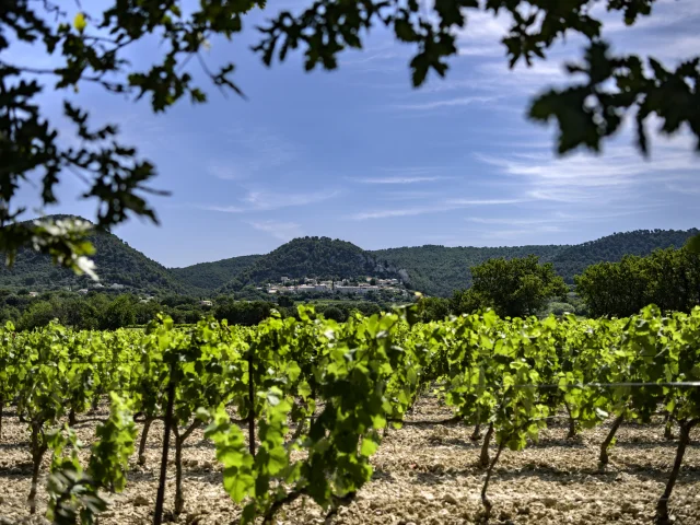 Village de Séguret au Printemps