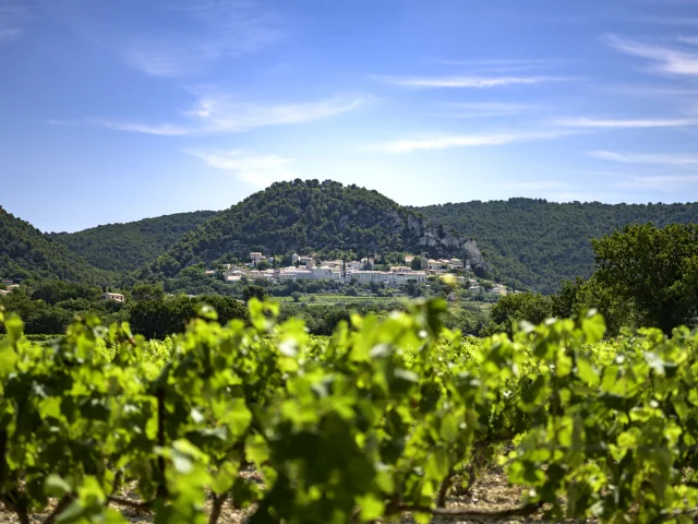 Village de séguret au printemps