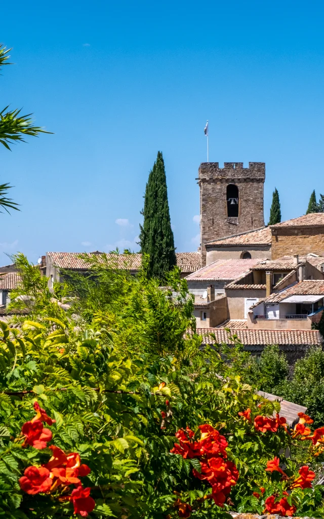 Vue sur le village de Villedieu