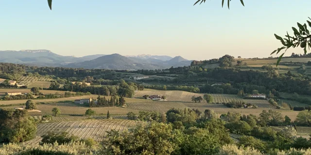 Vue sur des vignobles au coucher du soleil