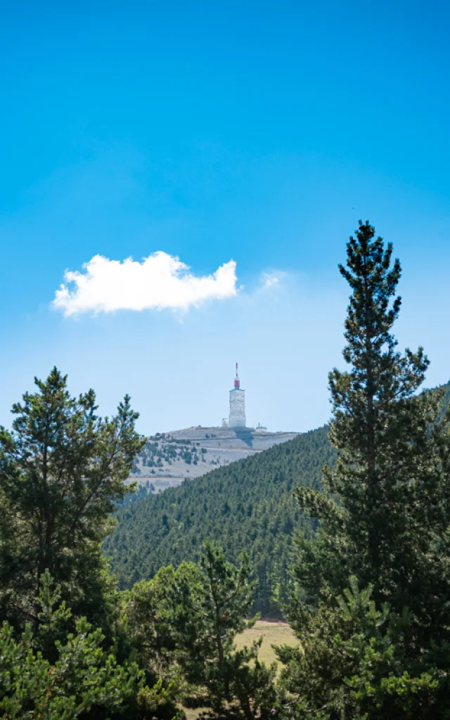 Aktivitäten der Mont Serein-Sation am 2020-07-24. Dorian Venzi