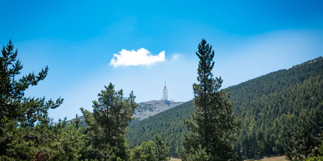 Sommet du Ventoux depuis la station du Mont Serein