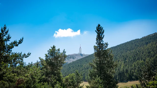 Sommet du Ventoux depuis la station du Mont Serein