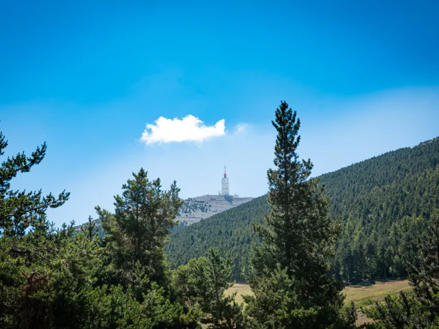 Sommet du Ventoux depuis la station du Mont Serein