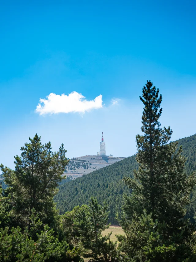 Sommet du Ventoux depuis la station du Mont Serein