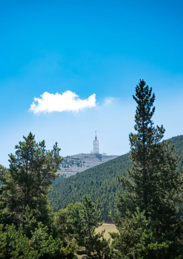 Sommet du Ventoux depuis la station du Mont Serein