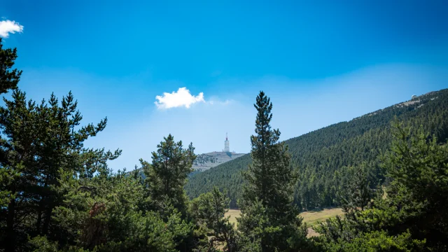 Activités de la sation du Mont Serein le 2020-07-24. Dorian Venzi