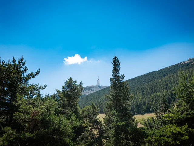 Activités de la sation du Mont Serein le 2020-07-24. Dorian Venzi