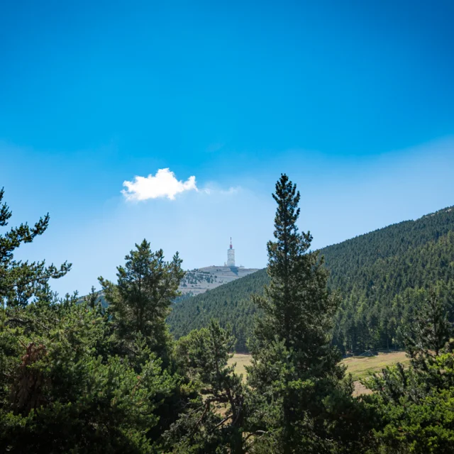 Activités de la sation du Mont Serein le 2020-07-24. Dorian Venzi