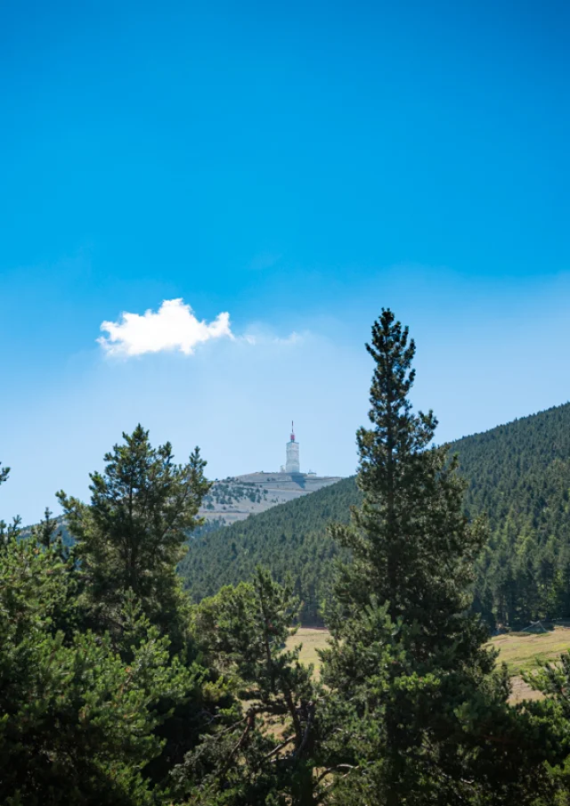 Aktivitäten der Mont Serein-Sation am 2020-07-24. Dorian Venzi